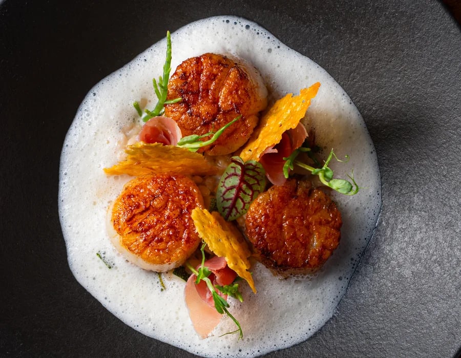 Scallops risotto